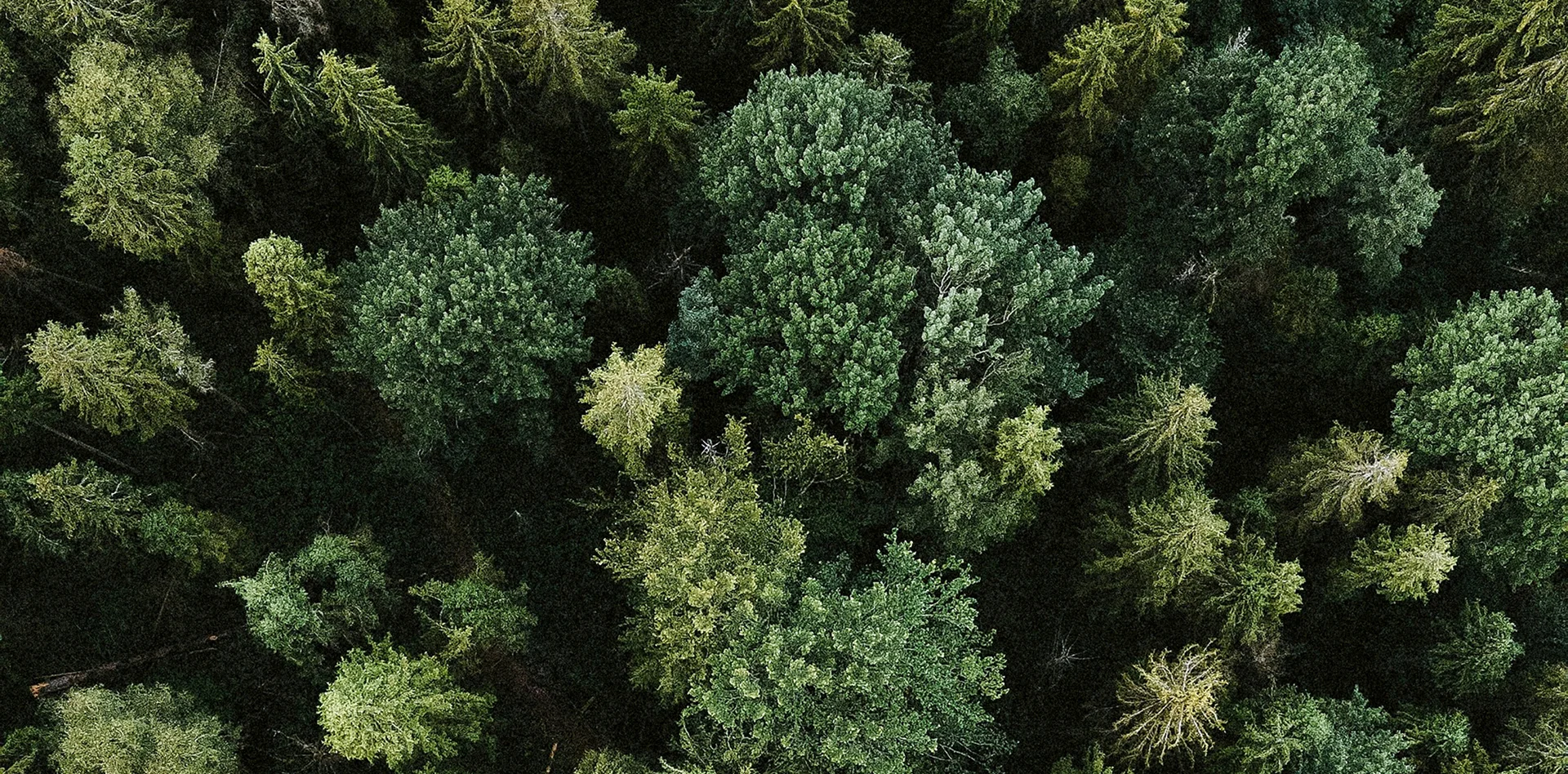 Alpura – Ihr exklusives 5-Sterne-Retreat Alpura – Ihr exklusives 5-Sterne-Retreat