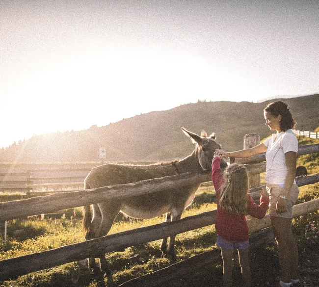 Alpura, ein neues, luxuriöses 5-Sterne-Retreat