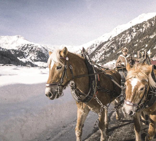 Alpura – Ihr exklusives 5-Sterne-Retreat