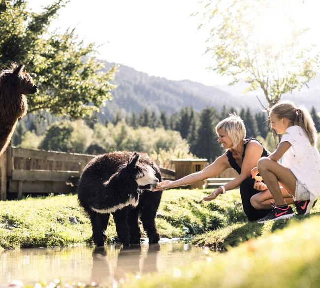 Alpura – Ihr exklusives 5-Sterne-Retreat